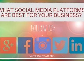 What Social Media Platforms Are Best for Your Business 250