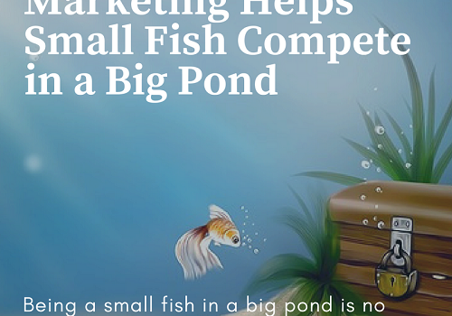 5 Ways Digital Marketing Helps Small Fish Compete in a Big Pond