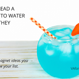 You Can Lead a Prospect to Water - Part 2 - Lead Magnet Ideas