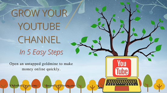 Grow Your YouTube Channel in 5 Easy Steps